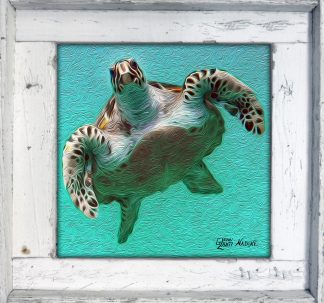 "Hawksbill Oil"