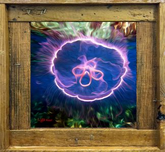 "Jellyfish at Grecian Rocks Oil"