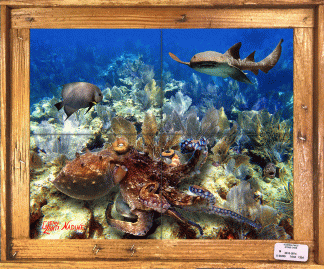 "Grassy Key Reef" Tile Mural