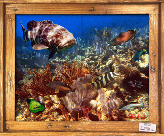 "Grouper Reef" Tile Mural