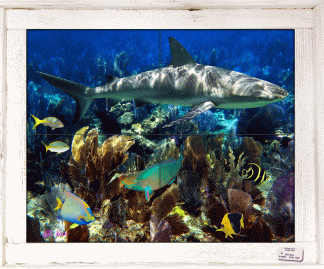 "Guardian of the Reef" Tile Mural