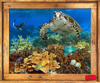 "Hawksbill and Friends" Tile Mural