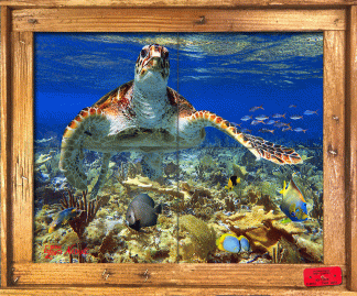 "Hawksbill Over the Corals" Tile Mural