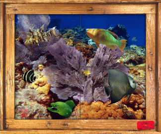 "Islamorada Reef" Tile Mural