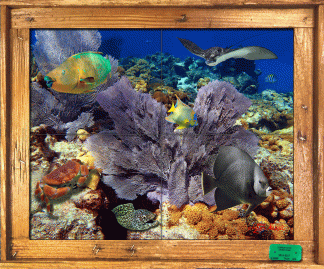 "Looe Key Ledge" Tile Mural