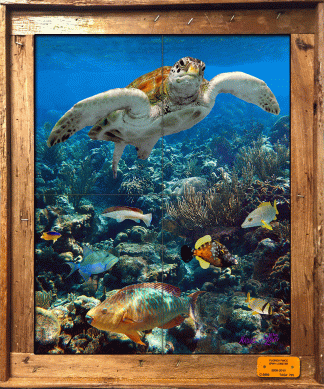 "Managerie Reef" Tile Mural