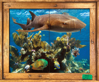 "Reef Guardian" Tile Mural