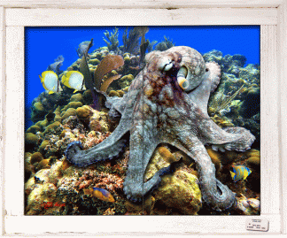 "Roaming Octopus" Tile Mural