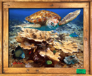 "Shallow Patch Reef 2" Tile Mural