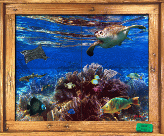 "Shallow Patch Reef" Tile Mural