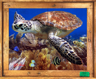 "Skimming the Seafans" Tile Mural
