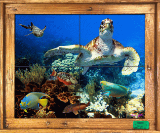 "Tortuga Reef" Tile Mural