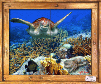 "Turtle and Staghorn" Tile Mural
