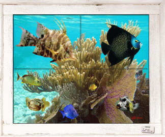 "Hogfish Hangout" Tile Mural