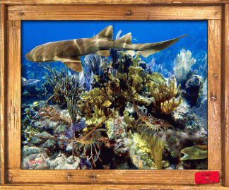 "Lobster Trio" Tile Mural