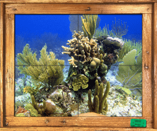 "Reef" Tile Mural