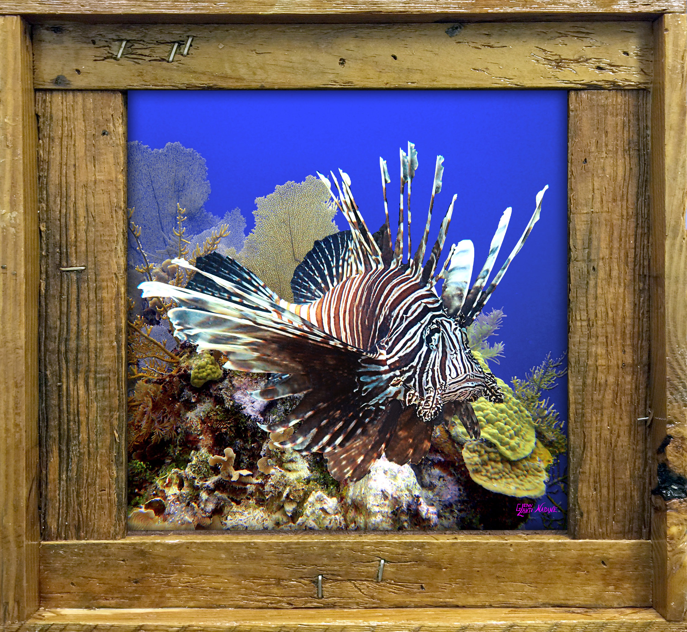 "Lionfish on the Reef"