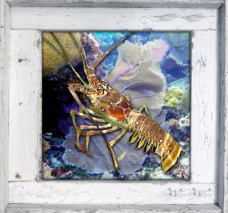 "Lobster and Seafan"