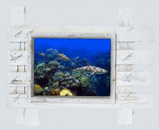 "Three Reef Sharks"