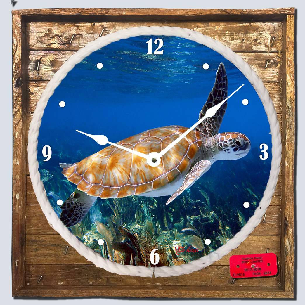 "Turtle Swimming" Framed Clock