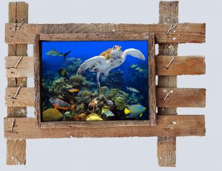 "A Coral Community"