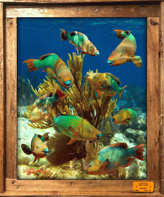 "A Flock of Parrotfish" Tile Mural