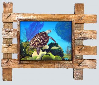 "Aloha Honu"