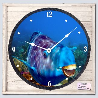 "Blue Parrotfish" Framed Clock