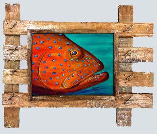 "Coral Grouper"