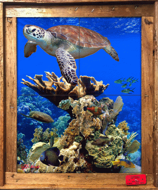 "Coral Medley" Tile Mural
