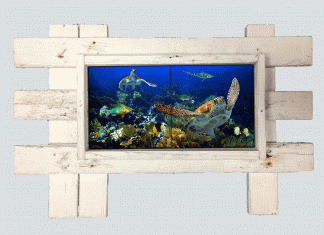 "Deep Diving with Friends" 2 Tile Mural Lid