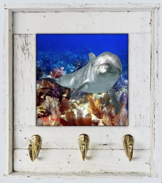"Dolphin at Grecian Rocks" with Hooks
