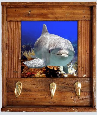 "Dolphin at Pickles Reef" with Hooks