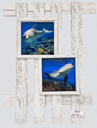 "Dolphin Duo"