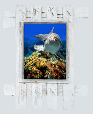 "Dolphin over the Coral Head"