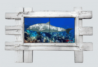 "Dolphin Over the Reef" 2 Tile Mural Lid
