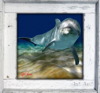 "Dolphin Over the Sand"