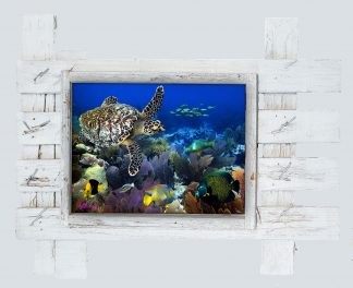 "Fandango Reef"