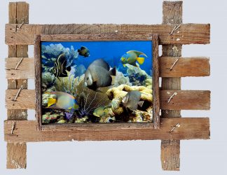 "Heavenly Reef"