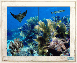 "Life in the Shallows" Tile Mural