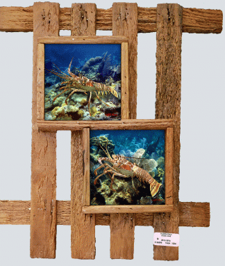 "Lobsters on the Ledge"