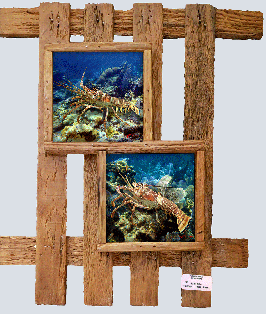 "Lobsters on the Ledge"
