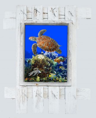 "Long Key Reef"