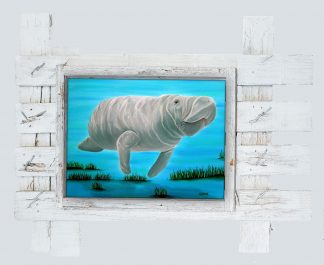 "Mr. Manatee"