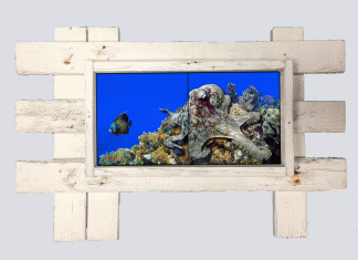 "Octopus on the Corals" 2 Tile Mural Lid