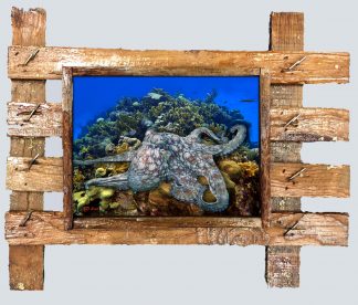 "Octopus on the Reef"