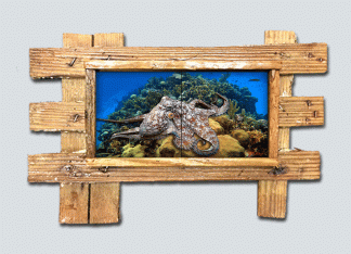 "Octopus on the Reef" 2 Tile Mural Lid