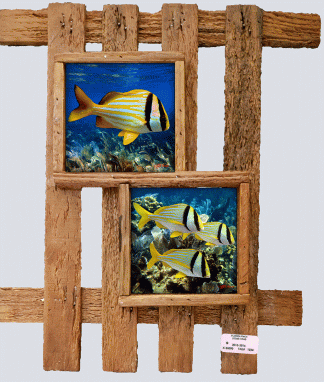 "Porkfish"