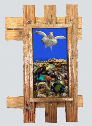 "Reef Top Flyer" 2 Tile Mural Lid
