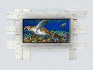 "Seafan Garden" 2 Tile Mural Lid